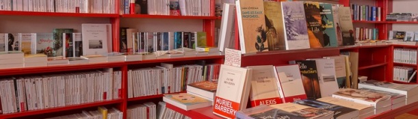 La promotion internationale du livre français